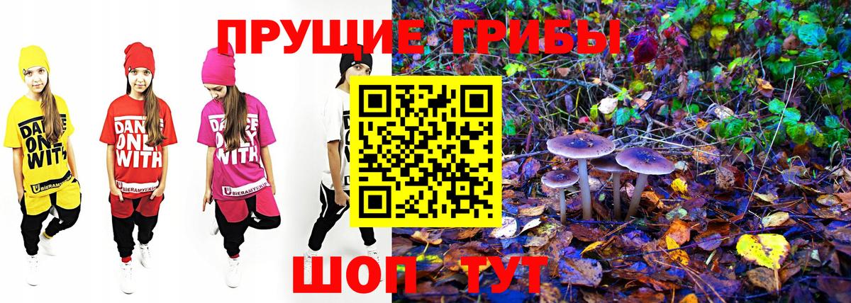 даркнет сайт  Вход с VPN  Псилоцибиновые грибы мицелий  Костомукша  Галлюциногенные грибы мухоморы 